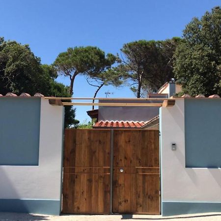 شقة Viareggina Con Giardino مارينا دي بيزا المظهر الخارجي الصورة