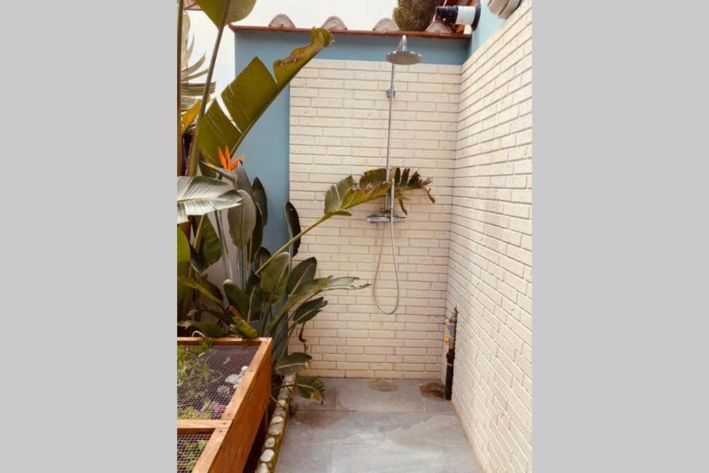 شقة Viareggina Con Giardino مارينا دي بيزا المظهر الخارجي الصورة