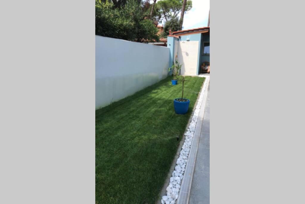 شقة Viareggina Con Giardino مارينا دي بيزا المظهر الخارجي الصورة